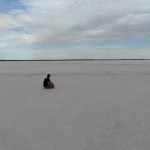 Outback adventure, part 2: ‘Left & deserted’